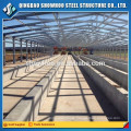 Steel Structure Design Poultry Farm Construction Poultry Housing